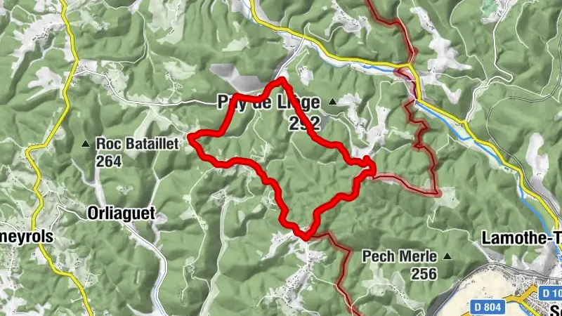 Boucle de la Forêt - Salignac