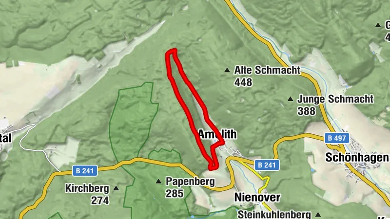 Kammwanderung auf historischem Weg durch pilzreiche Wälder (Am 14)