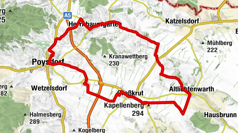 Welschriesling - Sternfahrt