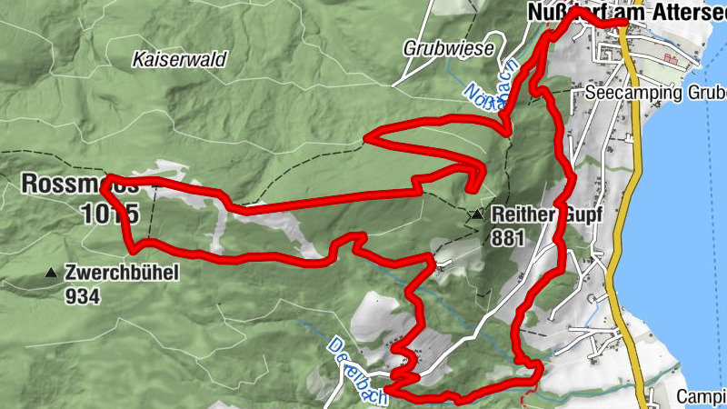 Dachsteinblick - Roßmoos