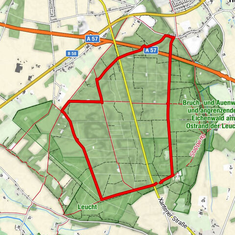 Wandern - Wald - (Er-) LEUCHT (ung) - grüne Route