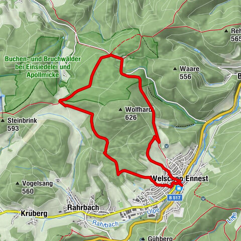Buchenwälder an der Einsiedelei