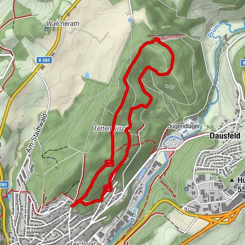 Waldpfad im Prümer Tettenbusch