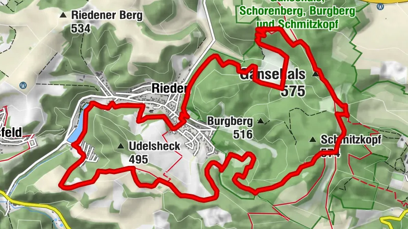Traumpfad Waldseepfad Rieden