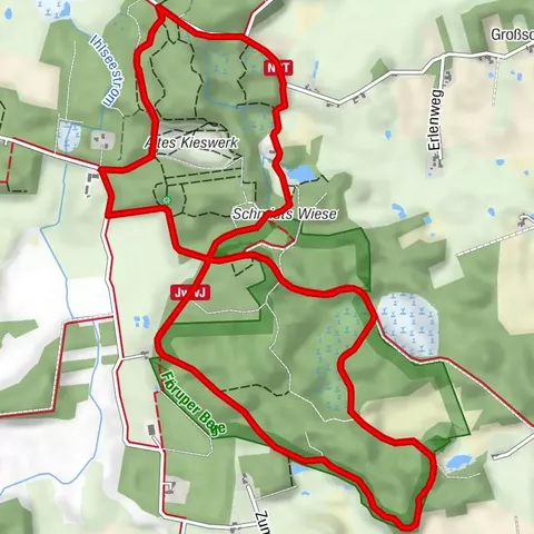 Schmetterlings- und Ilexweg | Wanderung