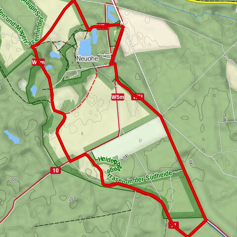 Naturerlebnispfad Südheide - Das Gold der Heide (Rundweg 6,6 km)