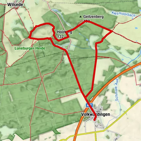 V1 Im Reich der Bäume 