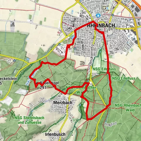 Rheinbacher-Wald-Runde