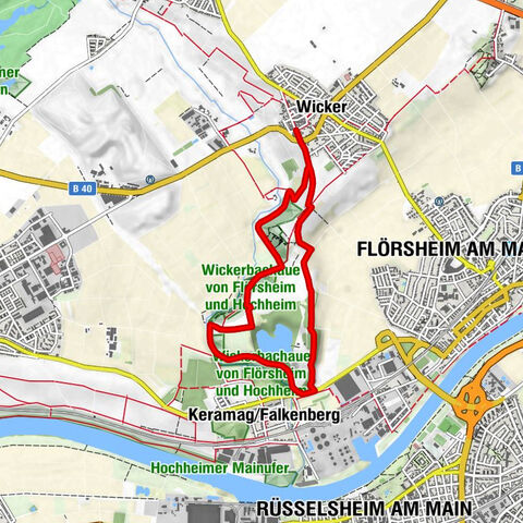 Riesling Schleife Flörsheimer Schweiz