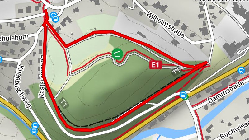 Kurterrainwege - Ortswege Bad Laasphe - Herzweg grün 3