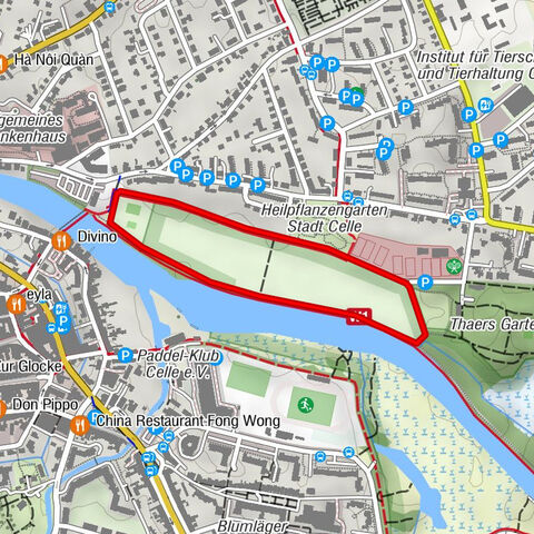 Laufstrecke (grün) entlang der Dammaschwiesen