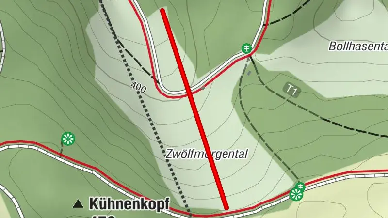 Rodelbahn im Zwölfmorgental - Wernigerode