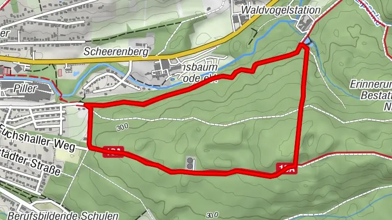 Rundweg Waldvogelstation