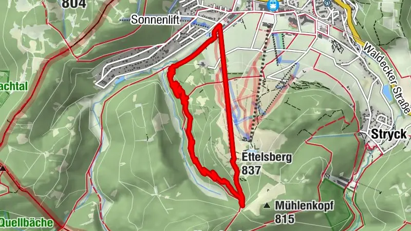 Green Trails Willingen  - Ruthenaar-Double (RUD)