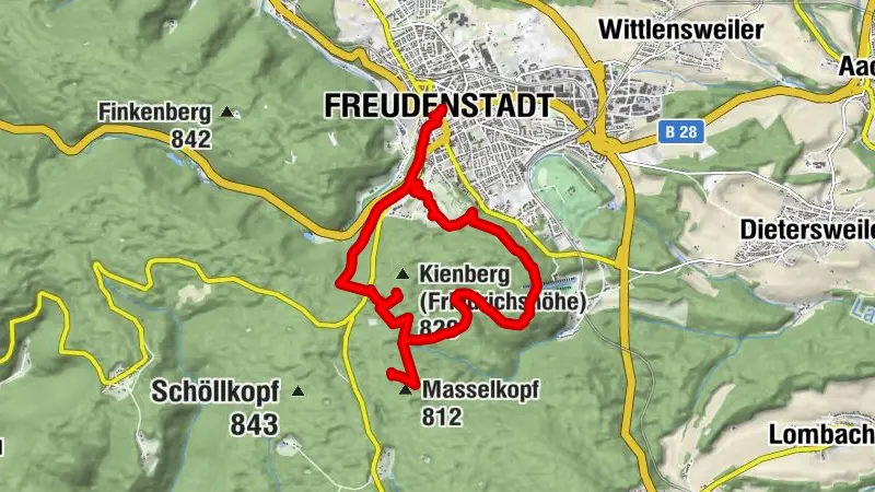 Lauschtour "Tannenriesen in Freudenstadt"