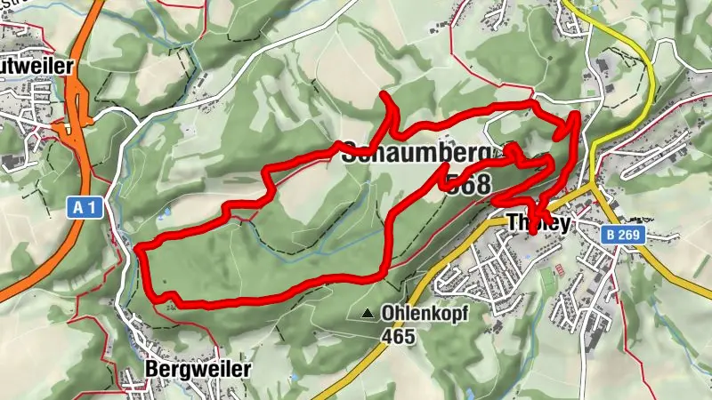 Tholey - Schaumberg Tafel-Tour