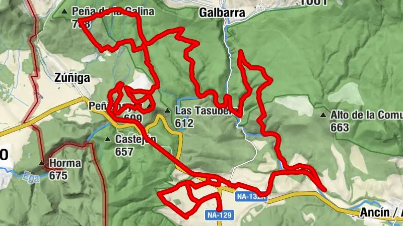 Acedo - Pobre - San Miguel