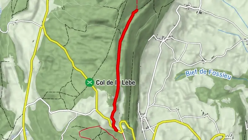 The path of the stars