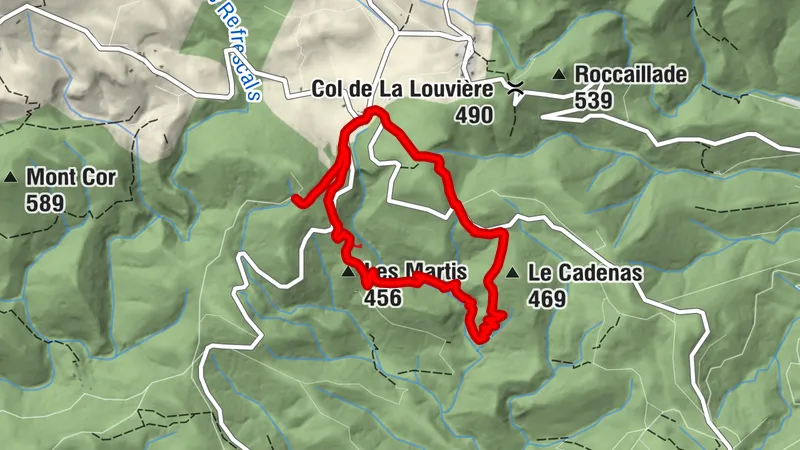 DAS VALLON DE CAMBOUSSELS