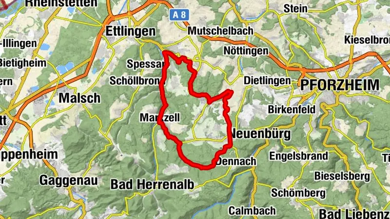 Holzbachtal und Albtour