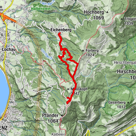 Eichenberg auf Pfänder