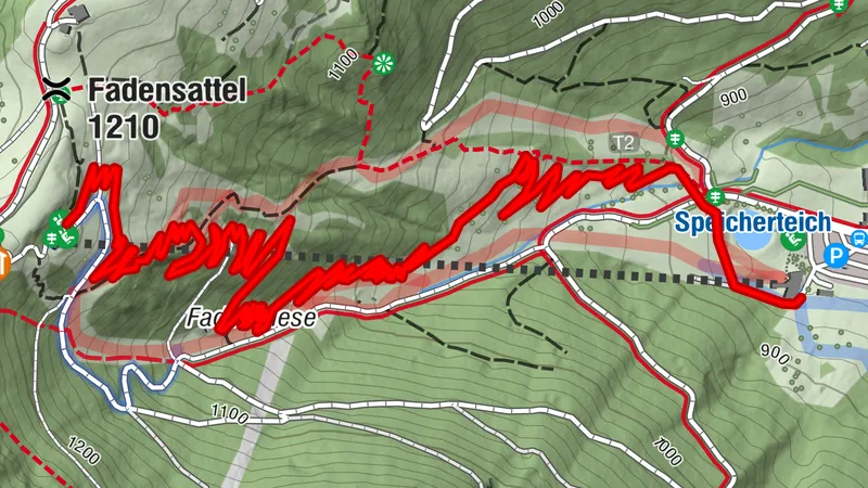 Schneeberg-Line Alpen Bikepark Schneeberg
