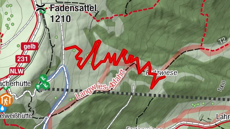 Alm-Trail Alpen Bikepark Schneeberg