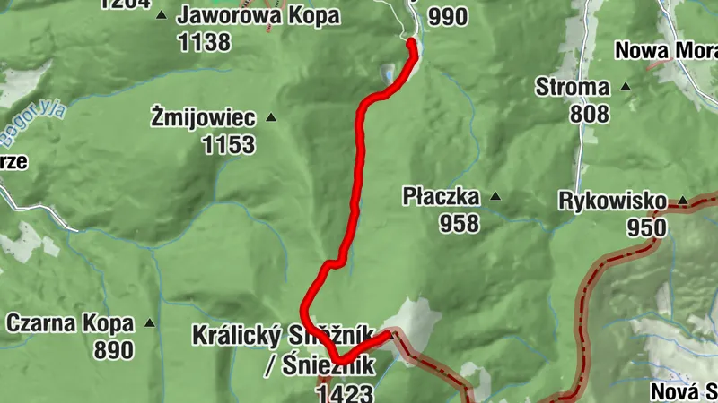 Śnieżnik z Kletna