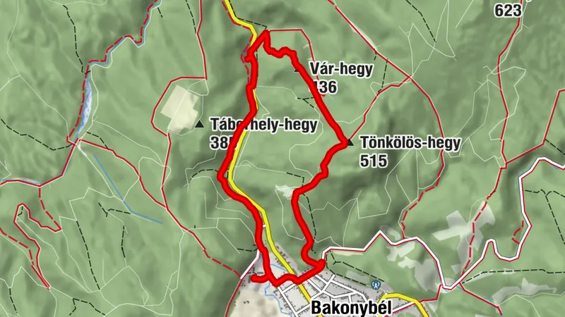 Bakony hegyek