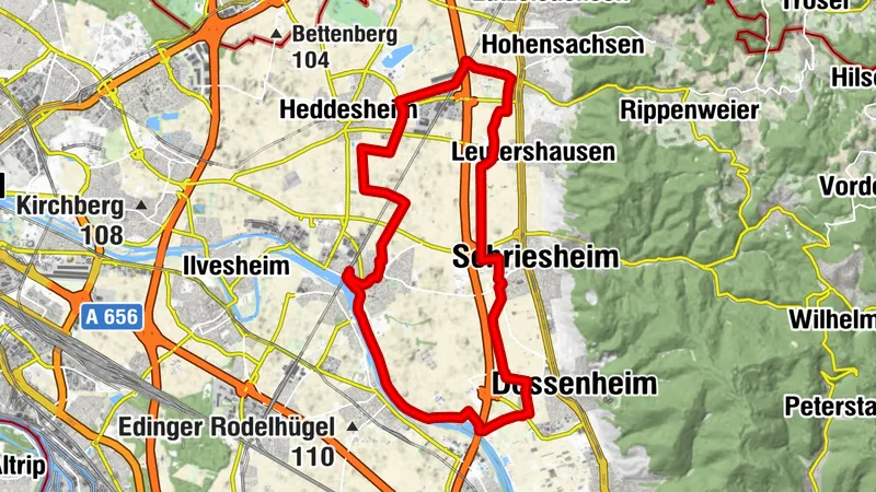 Rundtour Ladenburg