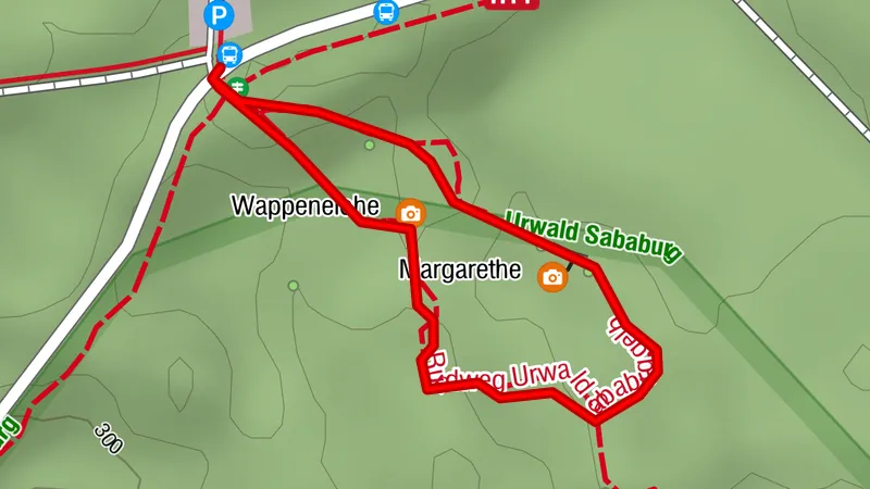 Urwald Sababurg - Rundweg (gelb/Hirschkäfer)