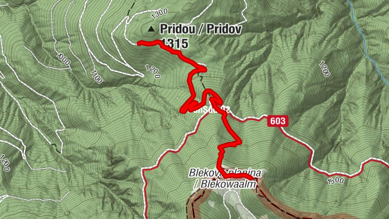 Carinthija 26.09.2020 Menschenkette Pridou Blekowaalm