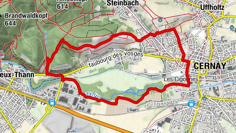 Wanderung: Biotop der Thur