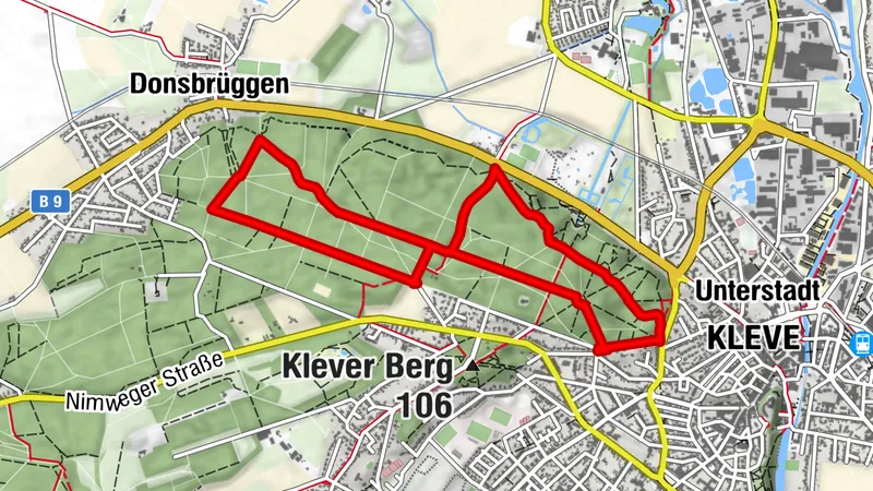 Wandern im Tiergartenwald