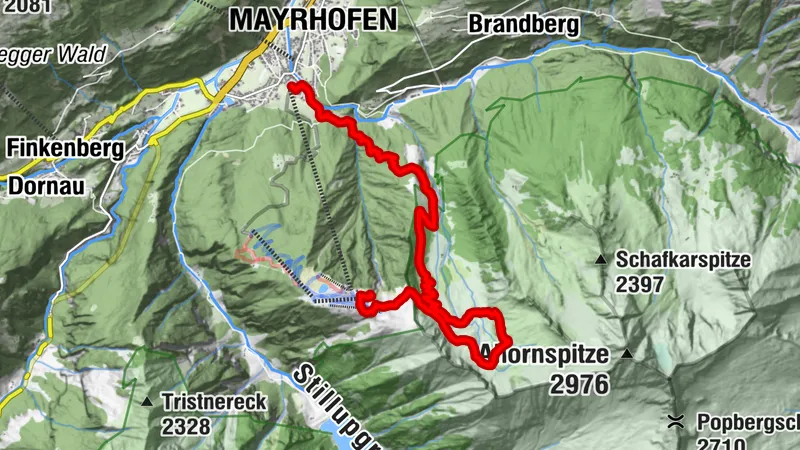 Panorama-Runde am Ahorn: Erlebnispfad, Edelhütte & Alpenrose