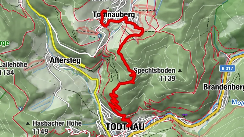 von Todtnauberg nach Todtnau