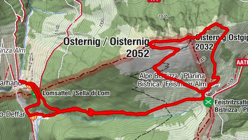 Oisternig von der Dolinza Alm