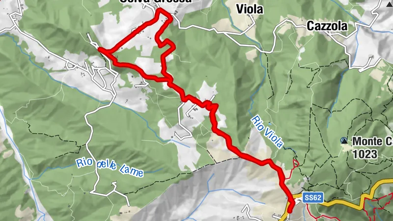 Cassio -selva castello -Cassio