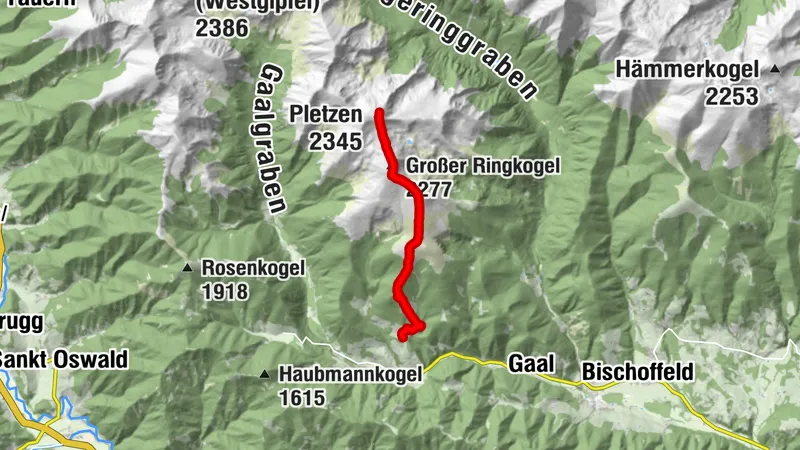 Großer Ringkogel und Pletzen