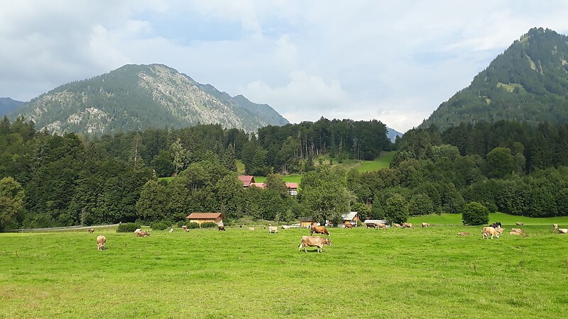 Karte