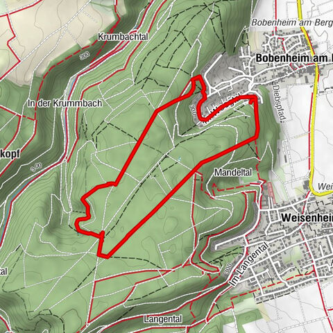 Waldwanderung:  Bobenheim am Berg - Waldfroschweg