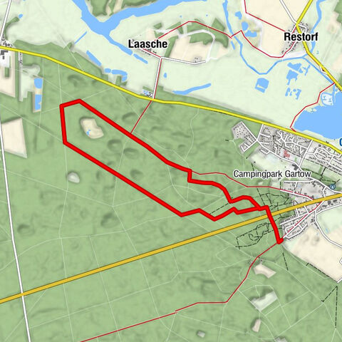 Kiefern, Kraniche und Pirole in den Kronen