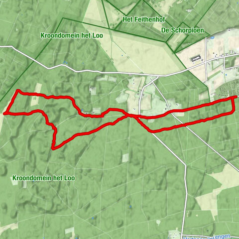 Veluwe wild