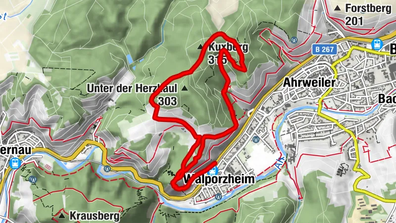Traubenpfad Nr. 1 - Die kleine Walporzheimer Runde