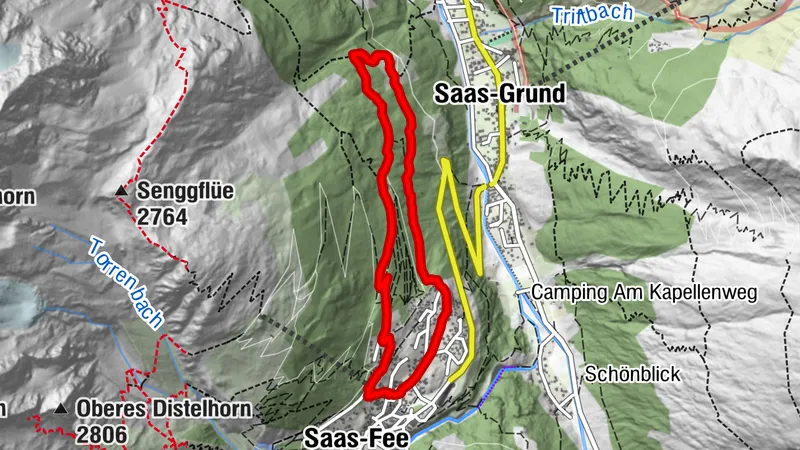 Helsana Trail Grün