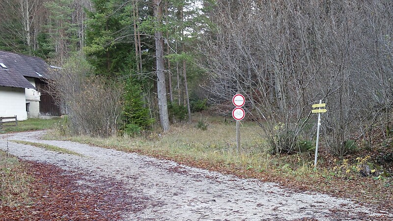 Karte